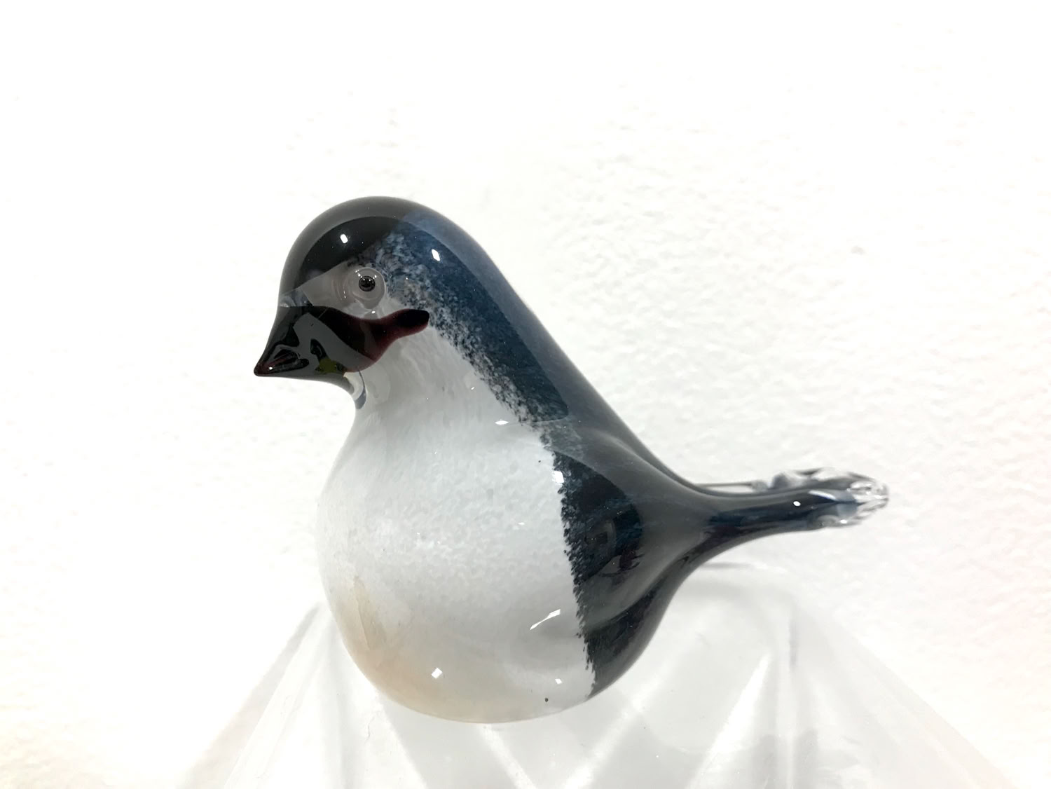 chris-sherwin_goldfinch