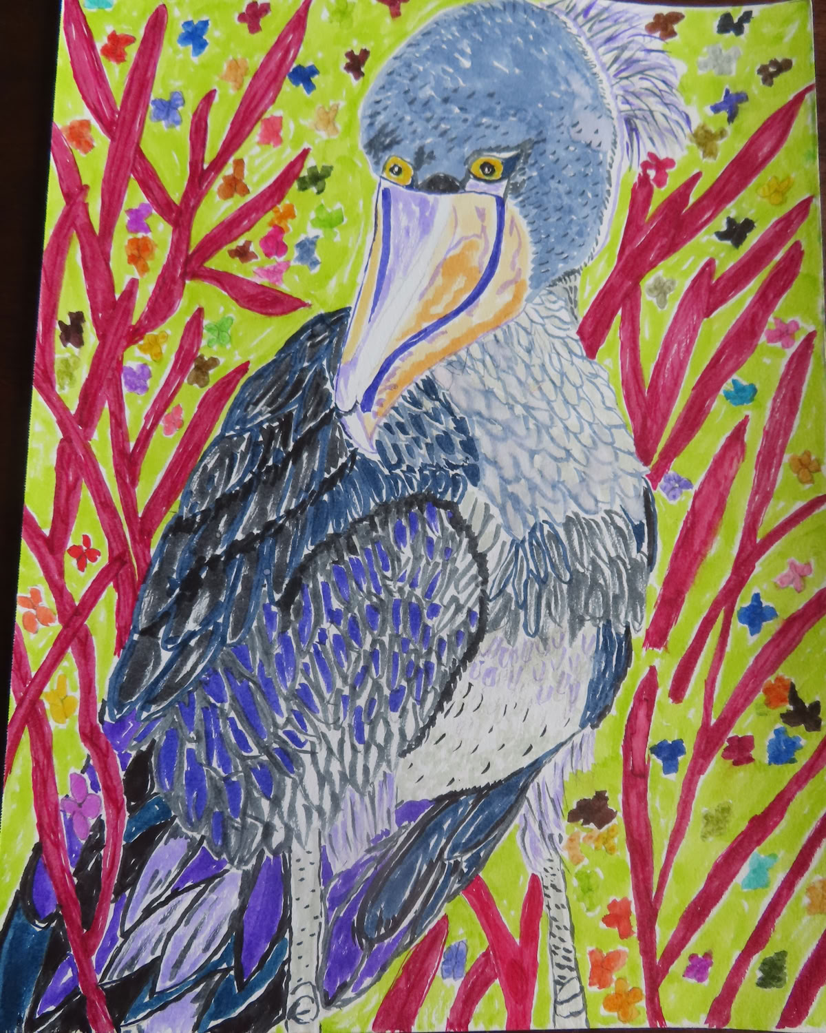 Joshua Aron Gray Shoebill Stork