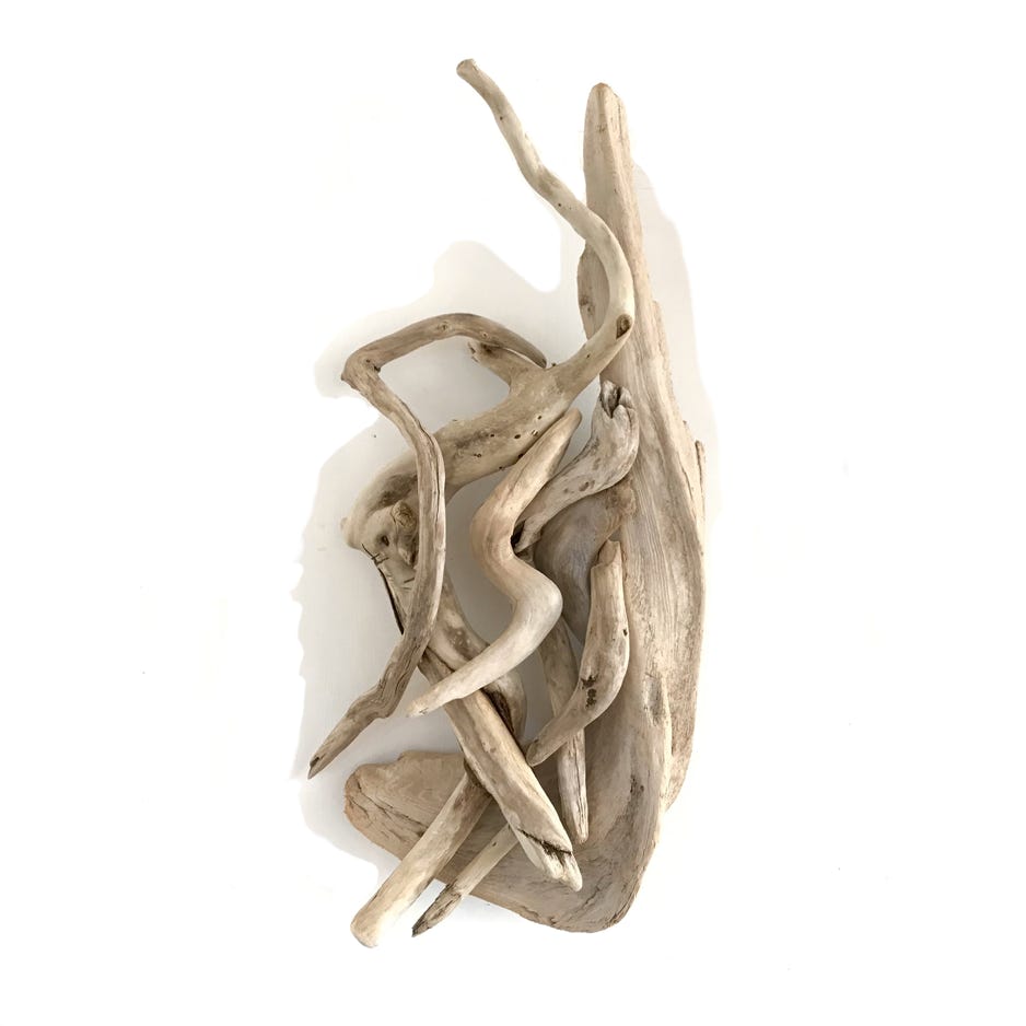 Phyllis Rosser Rushing Current 2019 