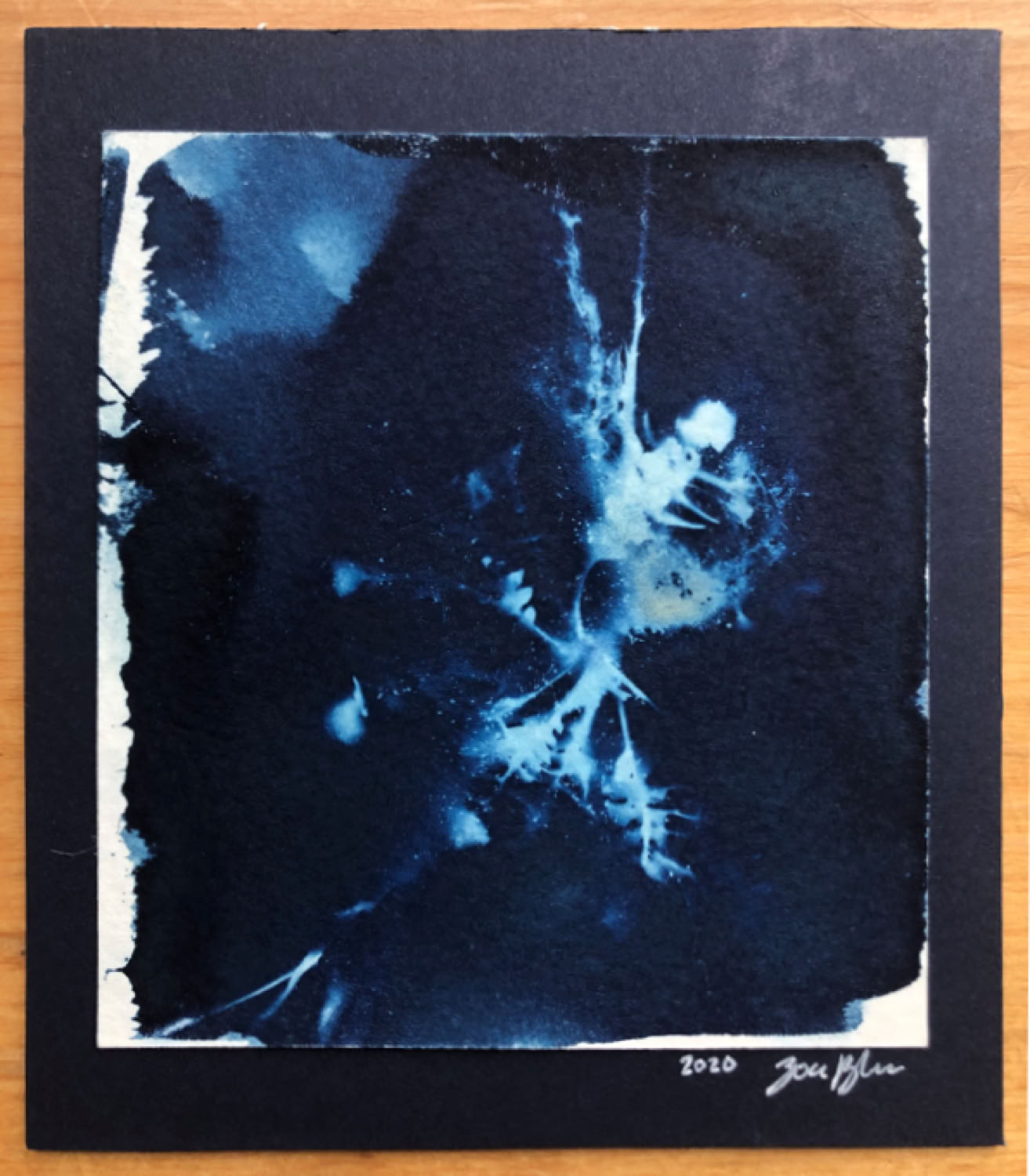 zoee-blossom_splattered-roots