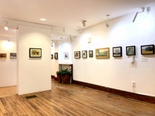 NANCY FITZ-RAPALJE A Still Life