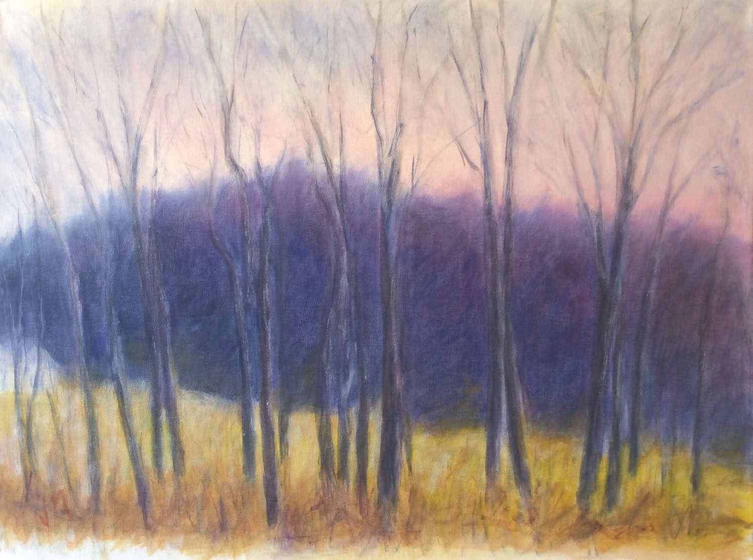 jeanne-mcmahan-evening-light-on-morrill-mountain