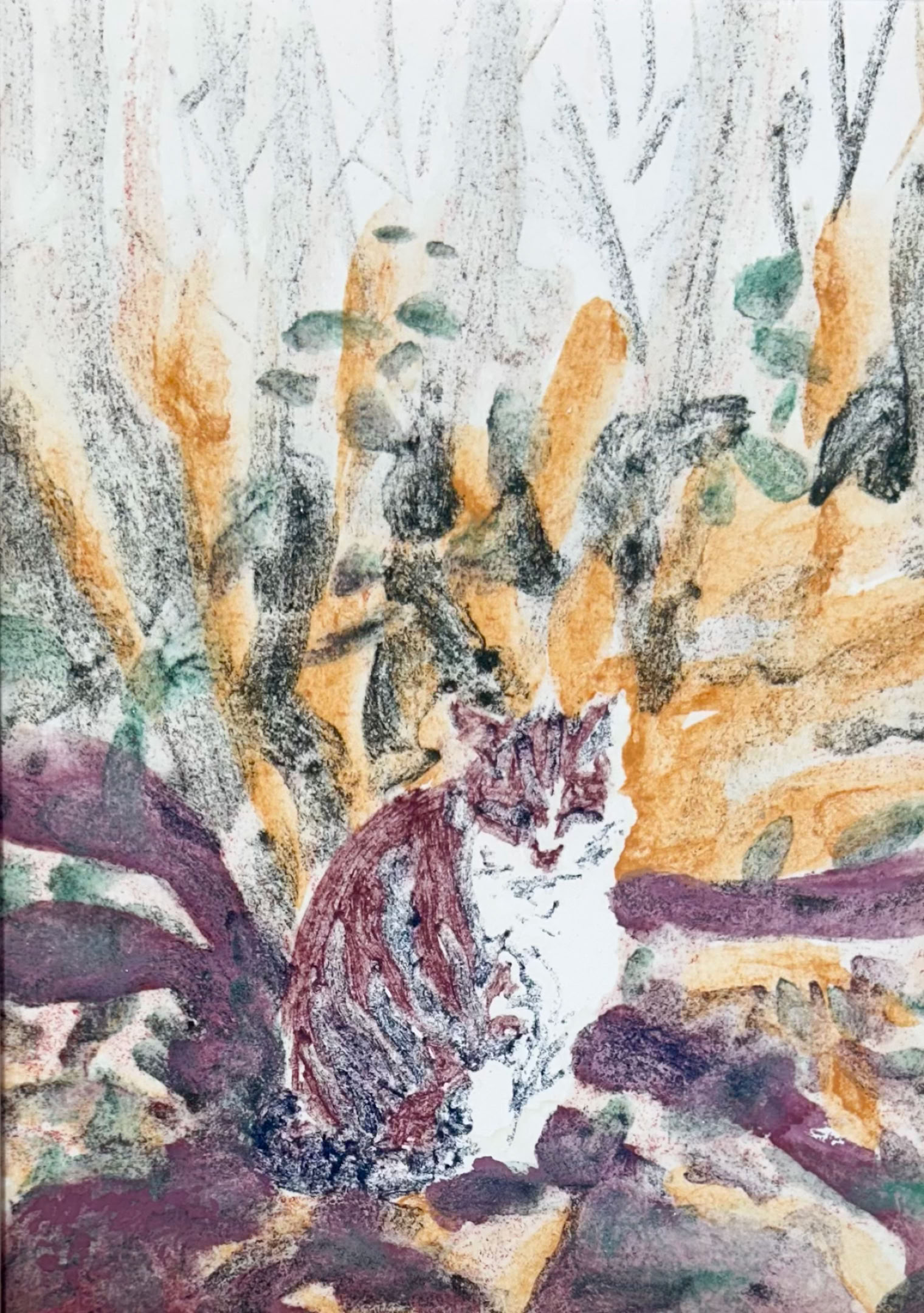 MC Noyes Cats, Cats & Cats 5 