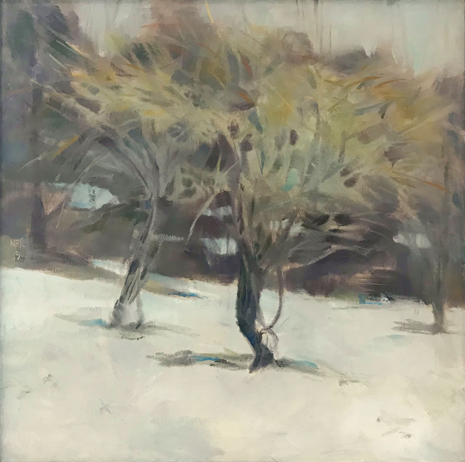Nancy Fitz-Rapalje Bush in Winter