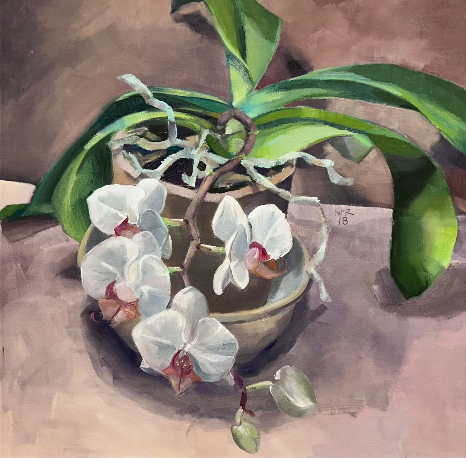 Nancy Fitz-Rapalje Orchid Q