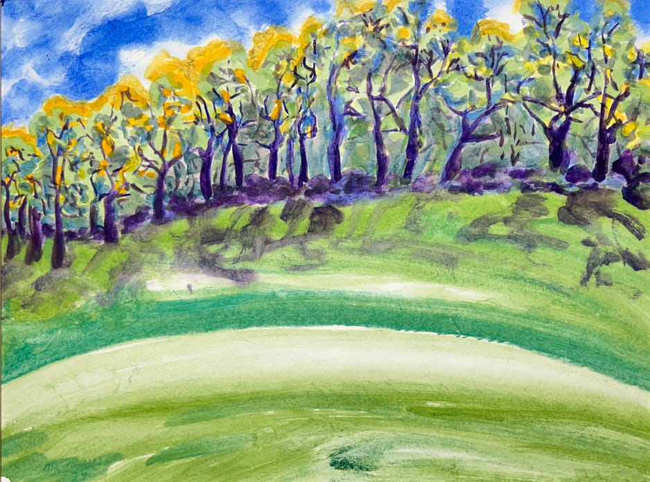 MC Noyes Vermont Trees 51 