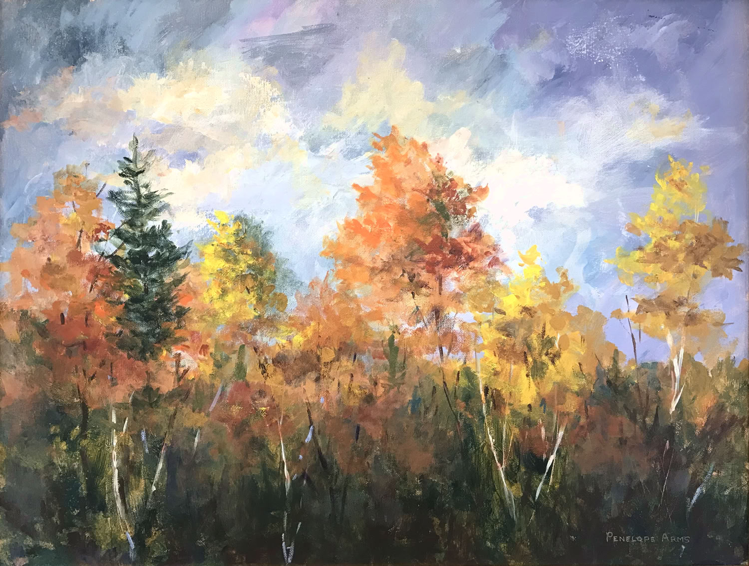 Penelope Arms October in Vermont