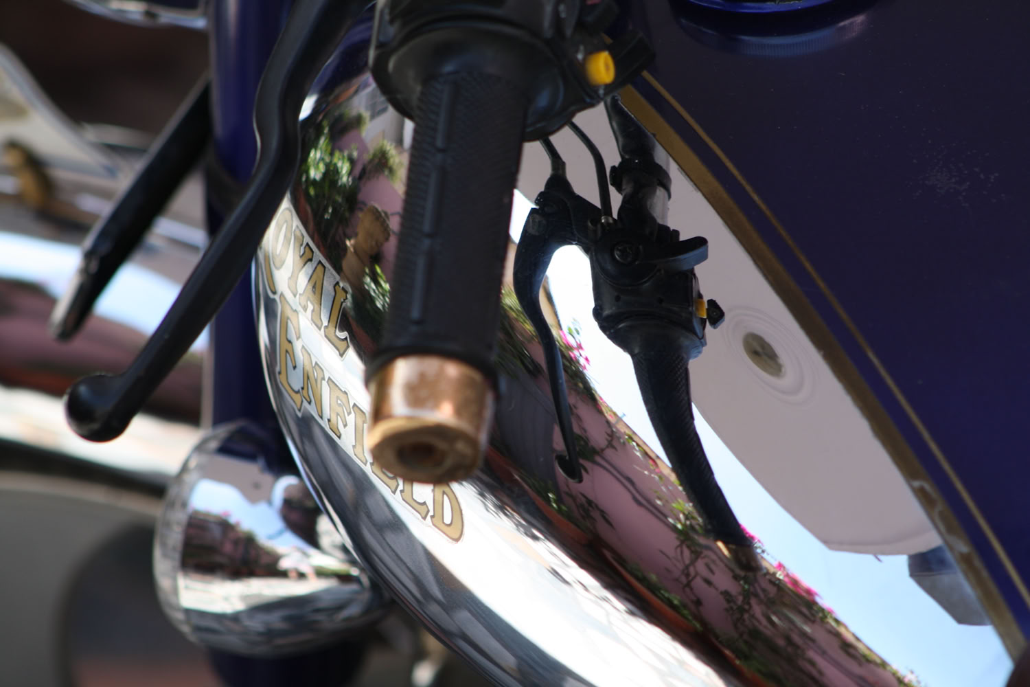 spaulding-dunbar_royal-jaipur