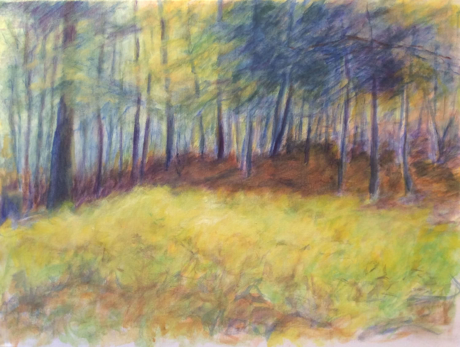 jeanne-mcmahan-patch-of-yellow-ferns