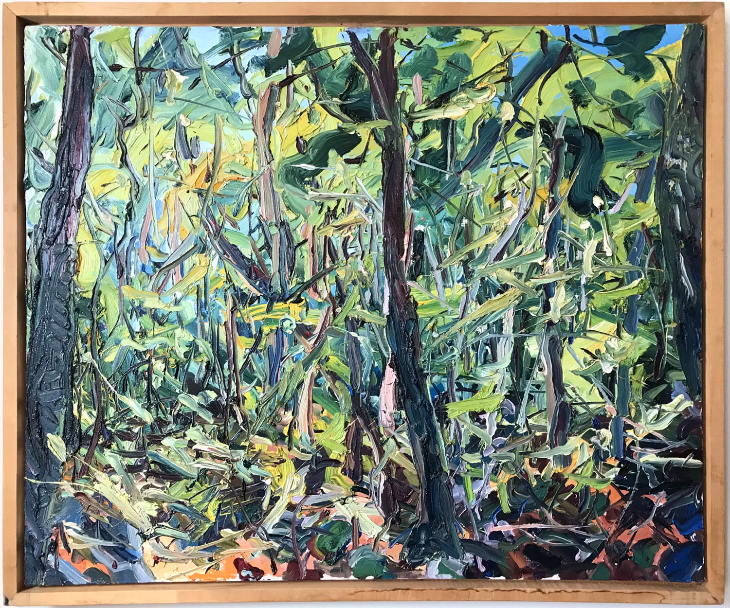 MC Noyes And Her Lap is Full of Trees