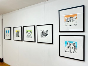 KATHLEEN ZIMMERMAN Solo Spotlight