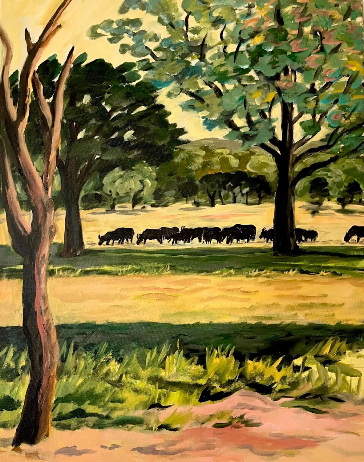 Carol Keiser Buffalo Herd, Zambia