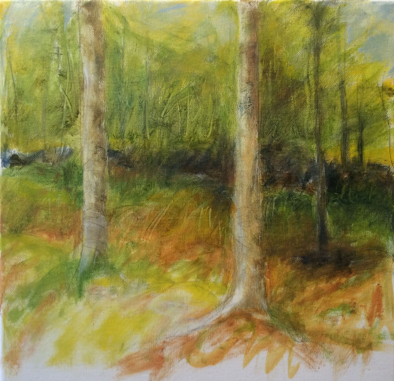 Jeanne McMahan Two Yellow Birches in Morning Light