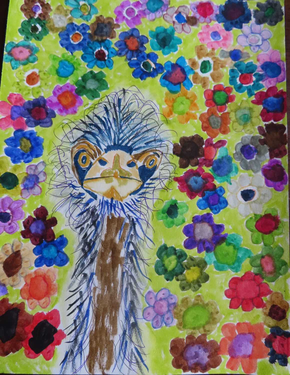 Joshua Aron Gray Emu