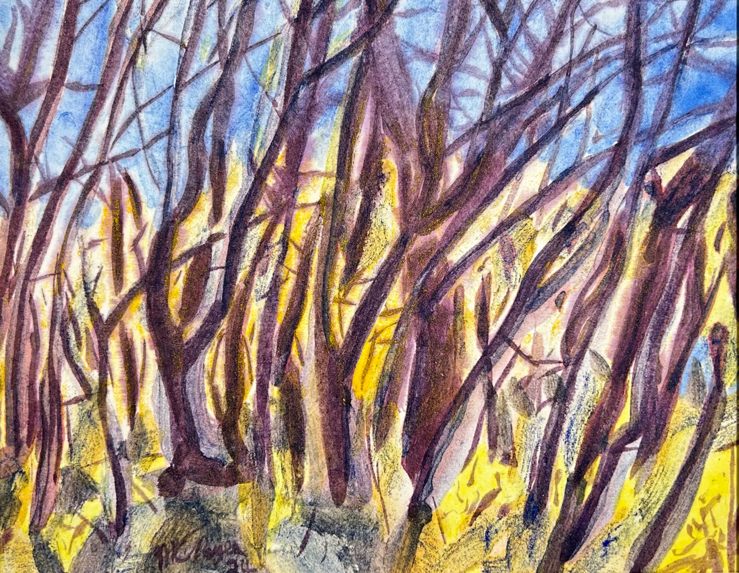 MC Noyes Vermont Trees 35