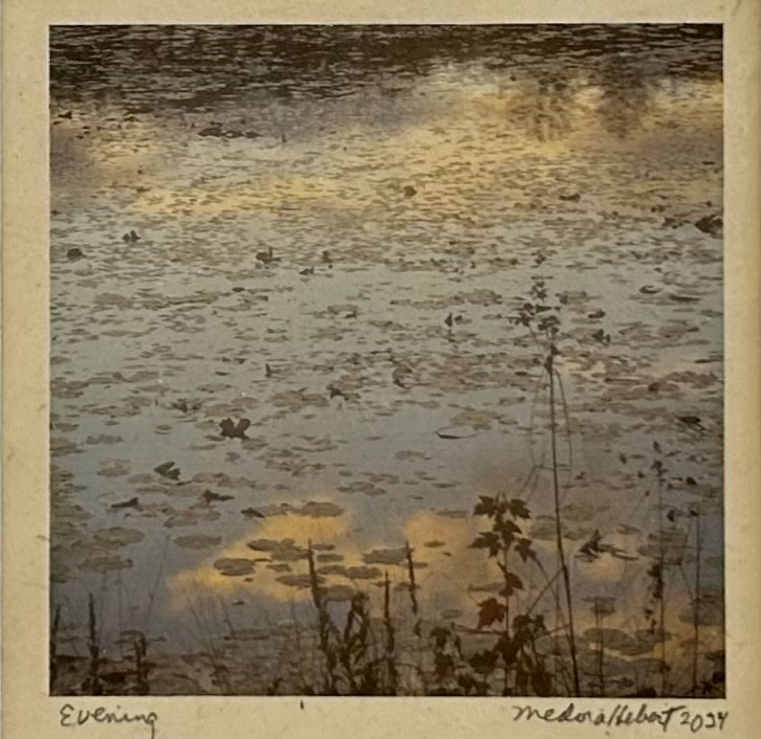 Medora Hebert Evening 