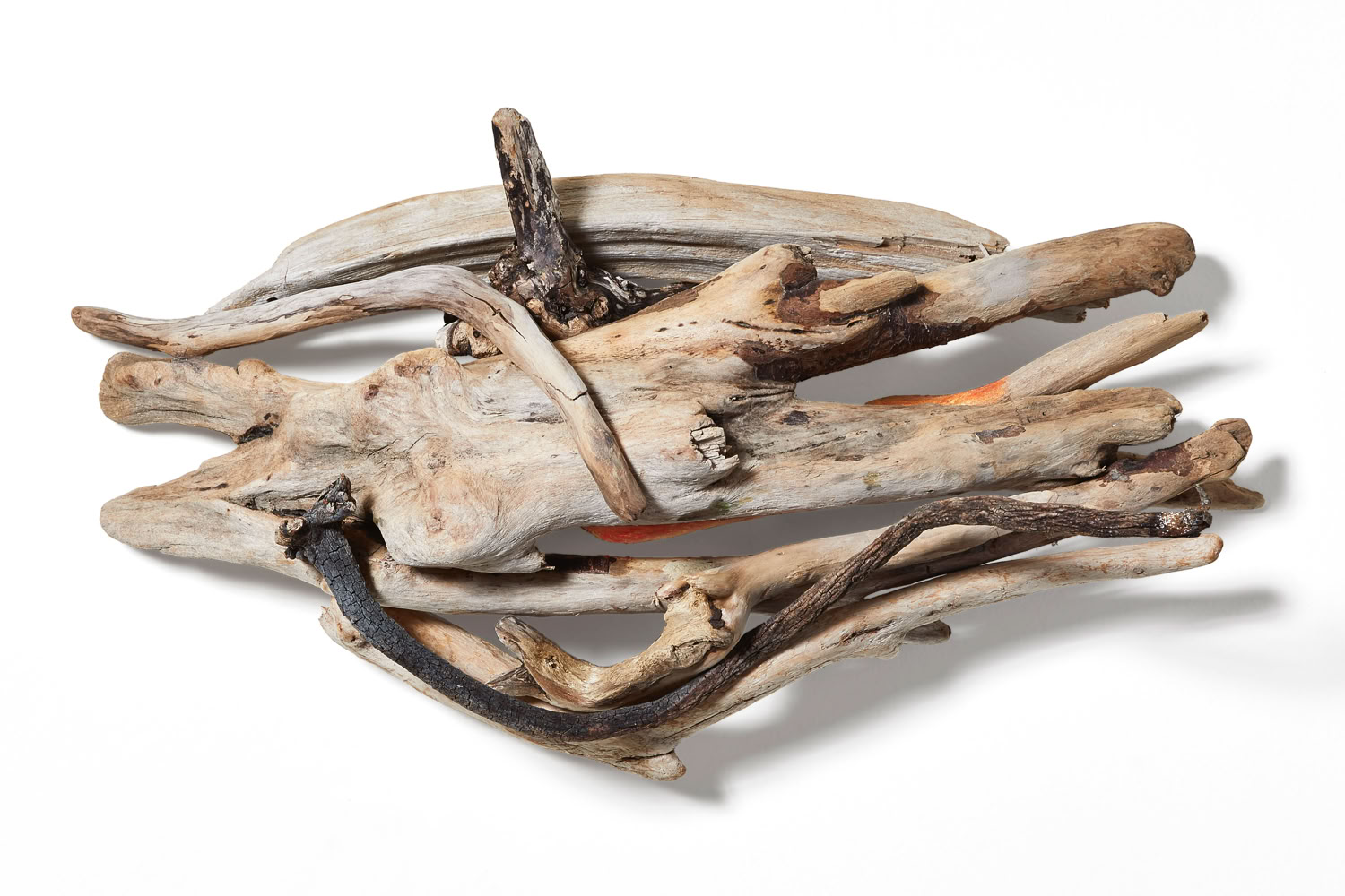 phyllis-rosser-southern-wind