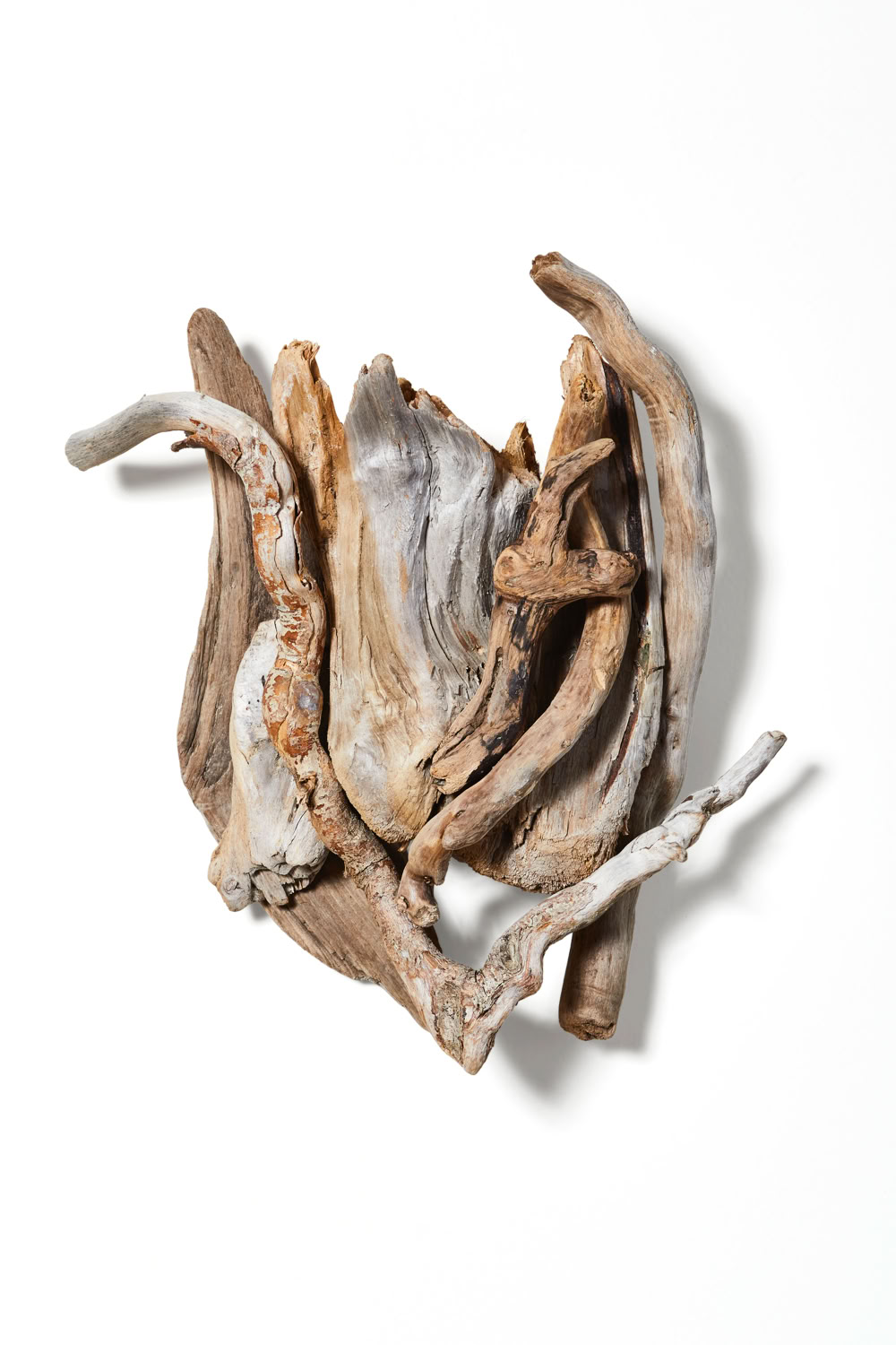 Phyllis Rosser Electric Fire