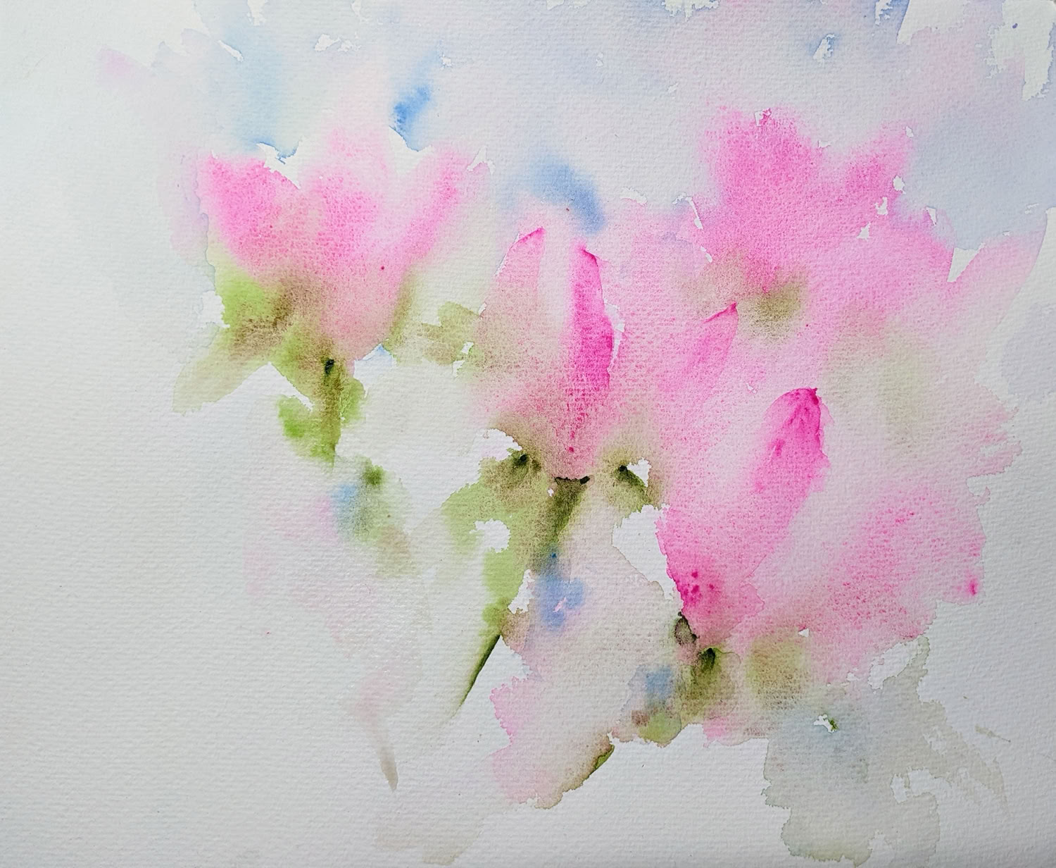 Teresa Zuverino Magnolias 