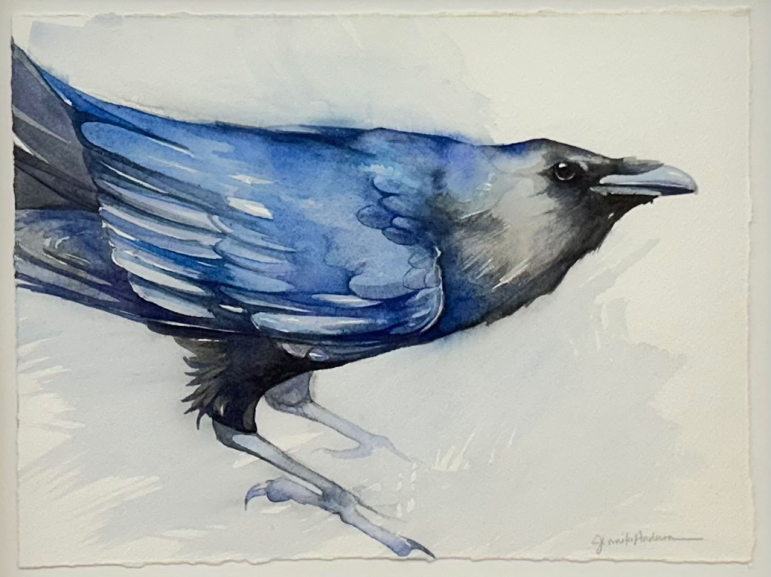 Jennifer L.Anderson Curiosity (Raven)