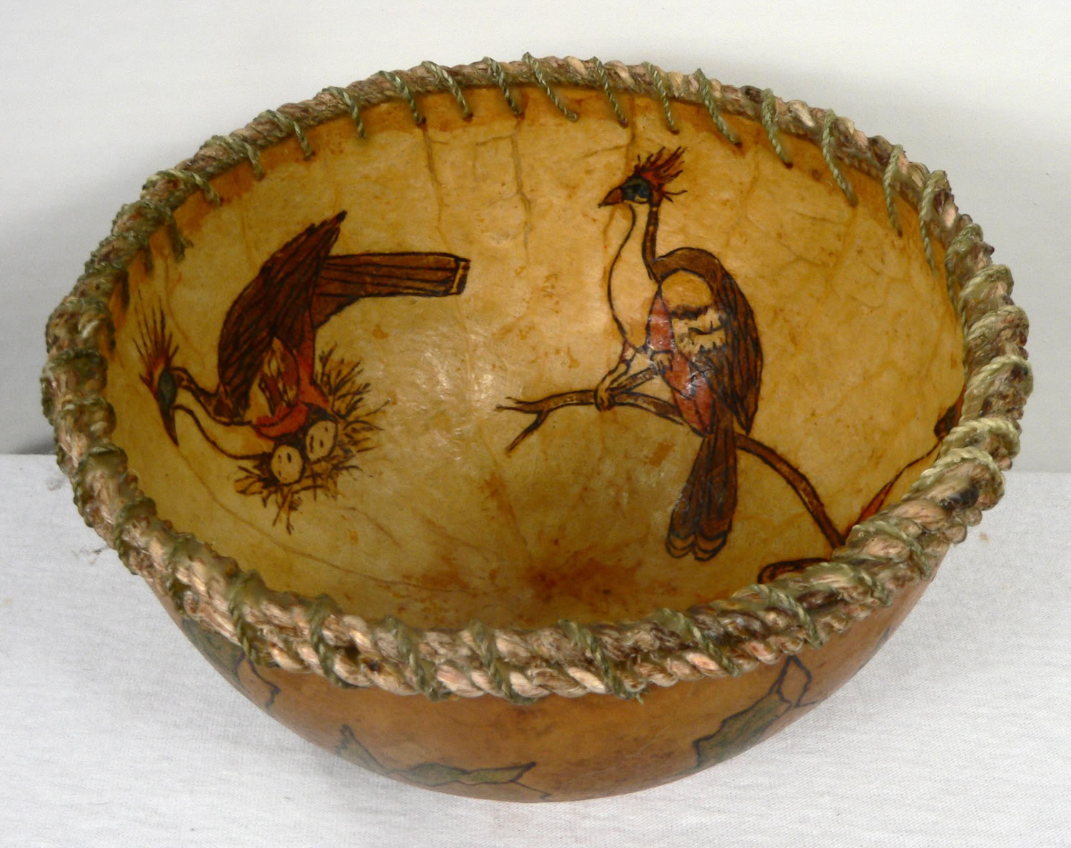 Kim Grall Hoatzins in a Bowl 2022