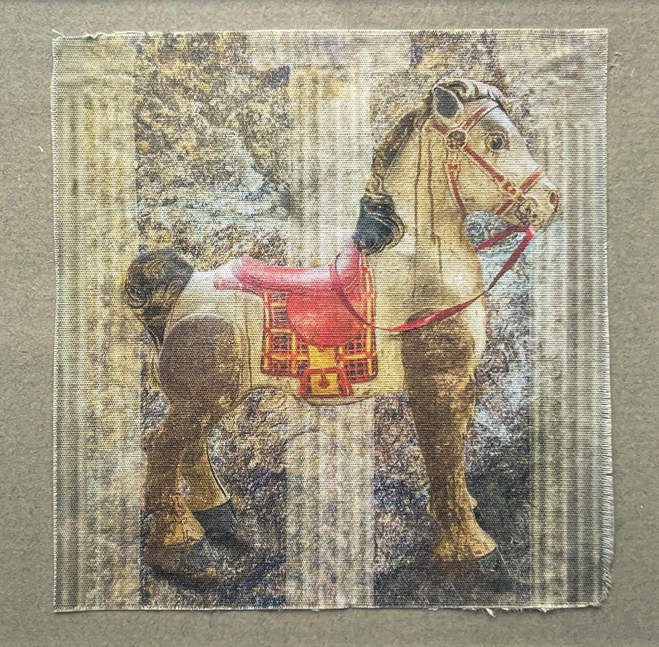 medora-hebert_roman-horse