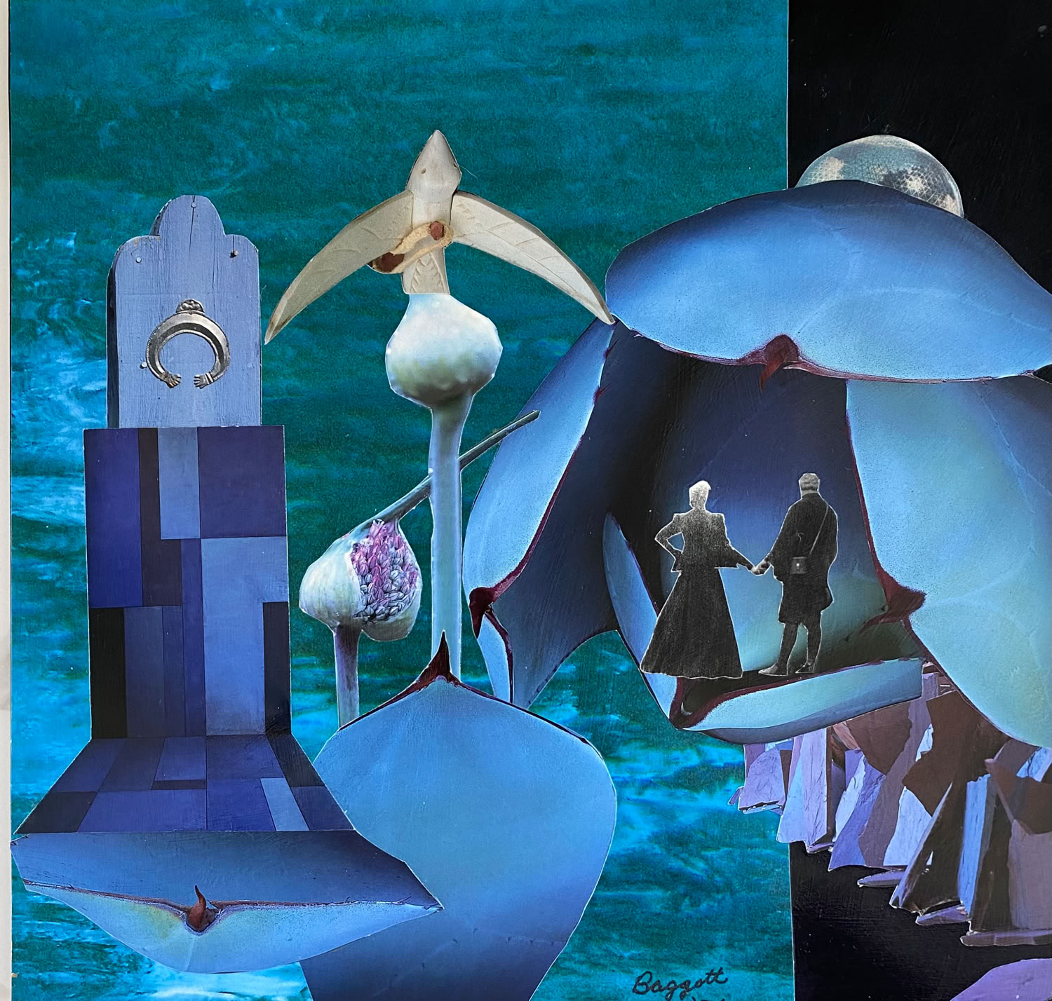 trish-baggott-ascent