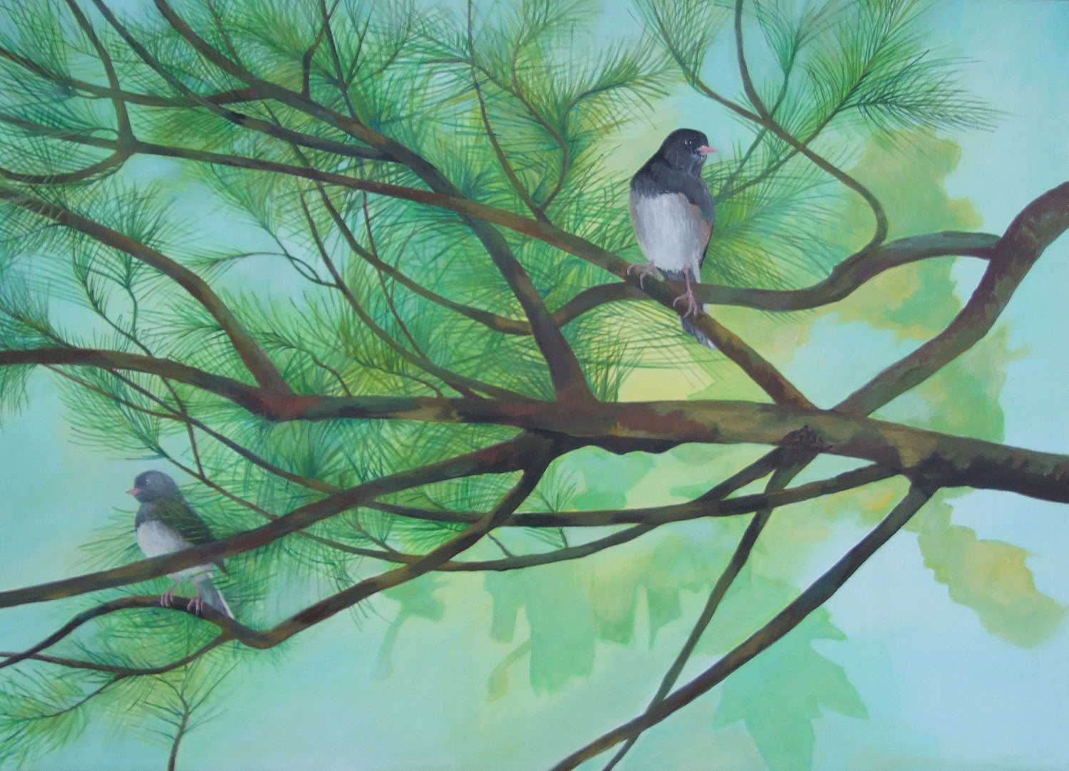 Jean Cannon Two Juncos 2015 Acrylic on canvas 20 x 28 in