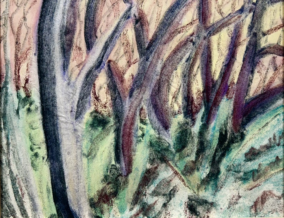 MC Noyes Vermont Trees 62 