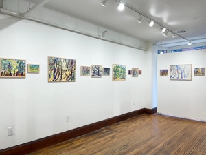 MC Noyes Vermont Trees Solo Show