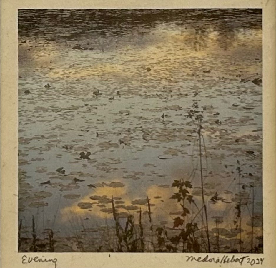 Medora Hebert Evening 