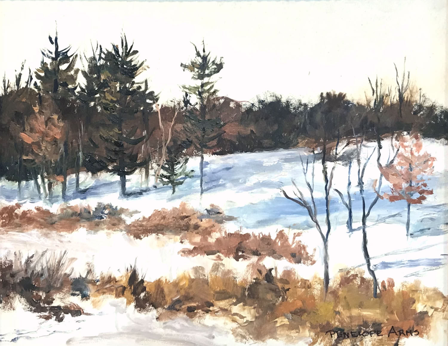 Penelope Arms Snowy Field