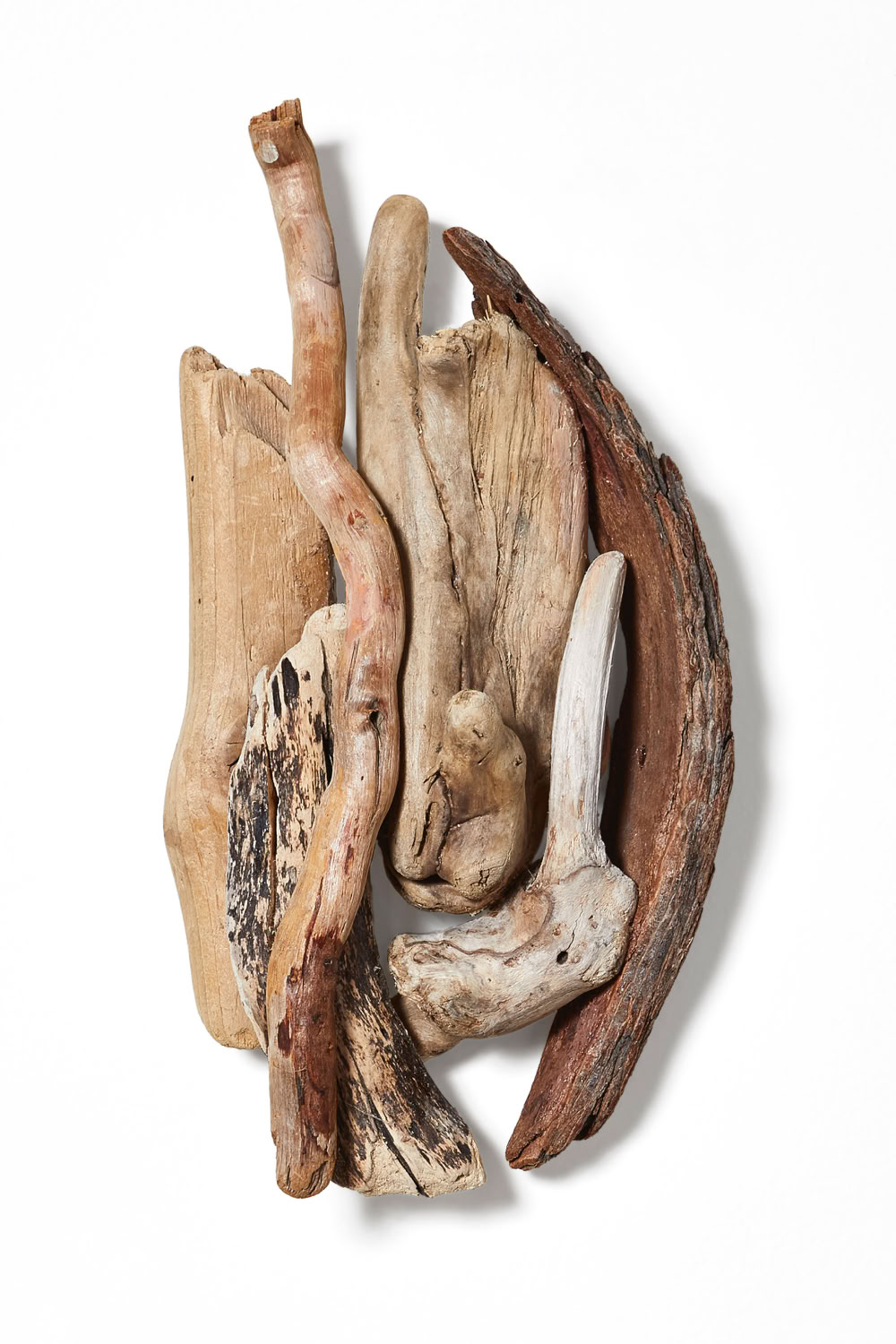 Phyllis Rosser Sheltered Moon