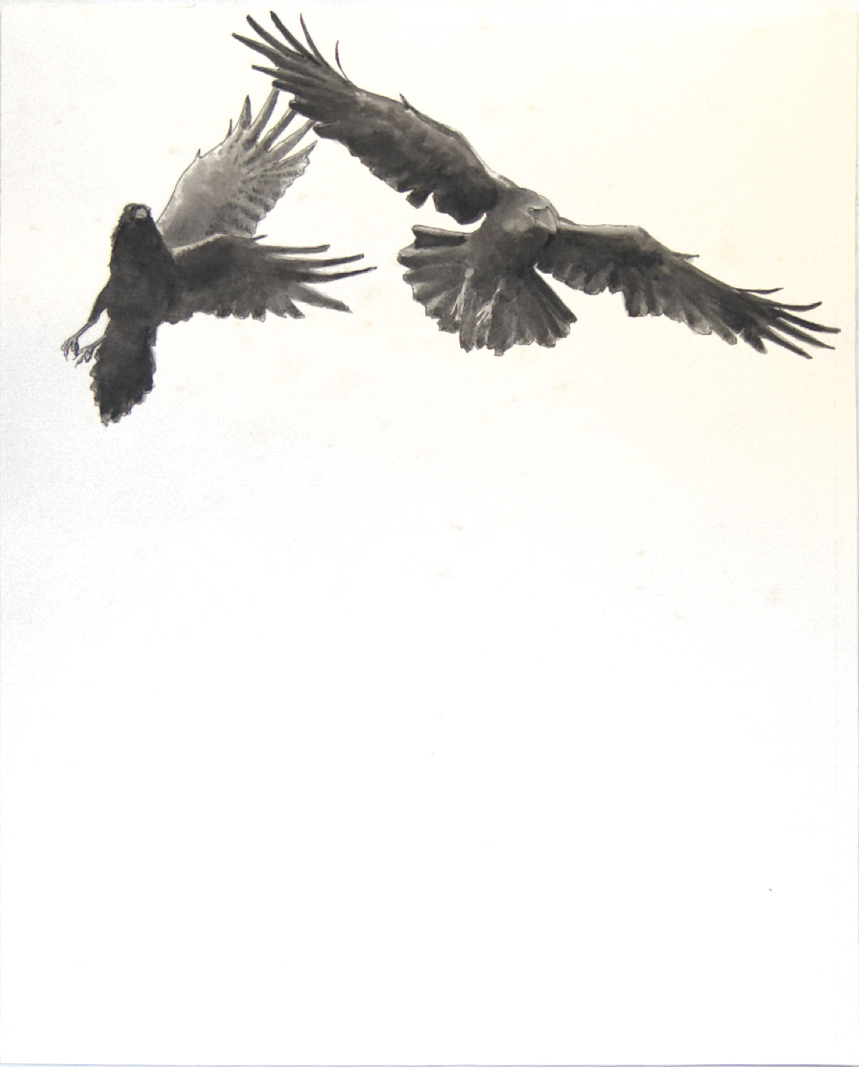 Charles Norris-Brown Thunder Basin, Ravens graphics