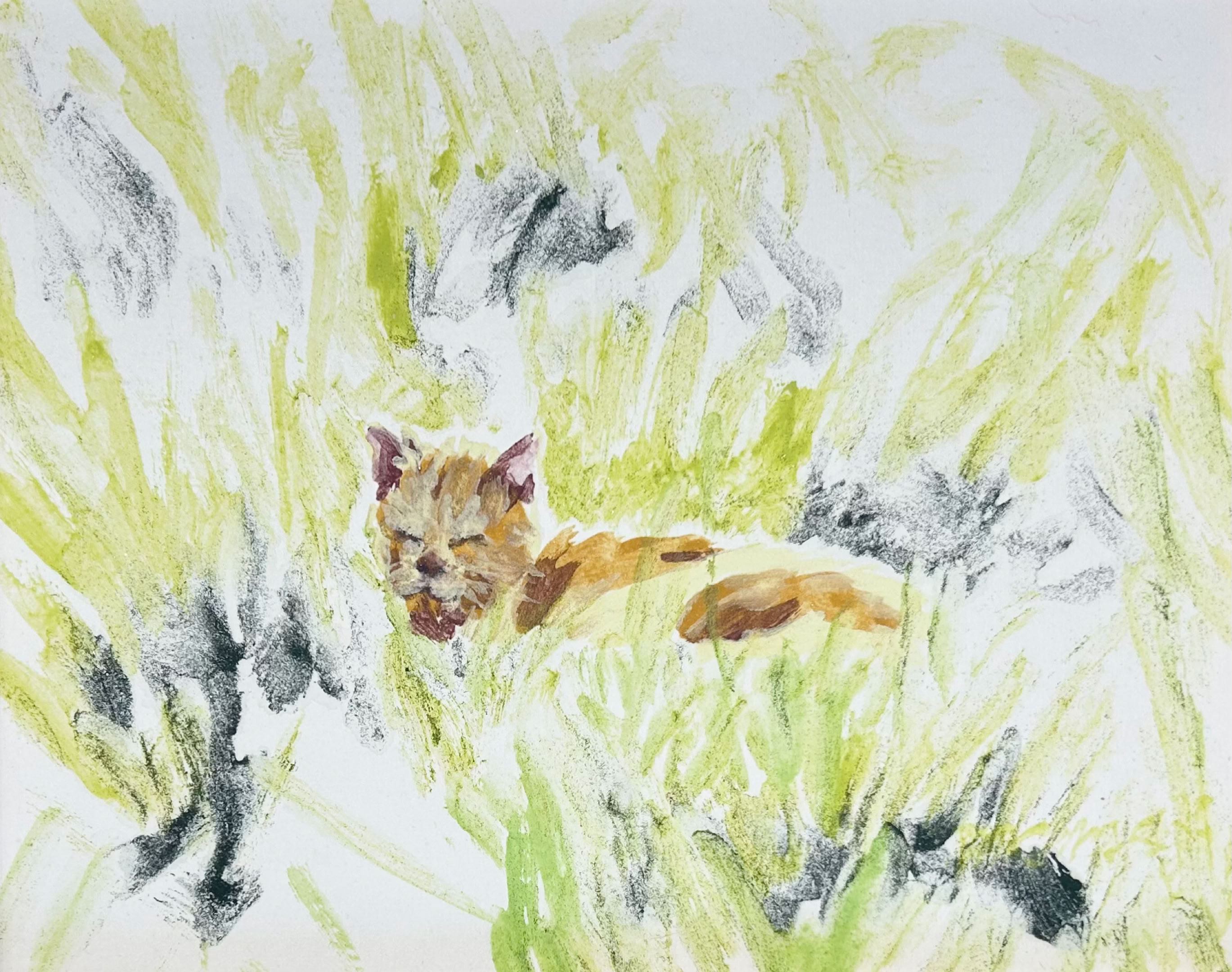 MC Noyes Cats, Cats & Cats 9