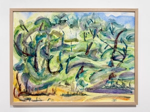 MC Noyes Vermont Trees Solo Show