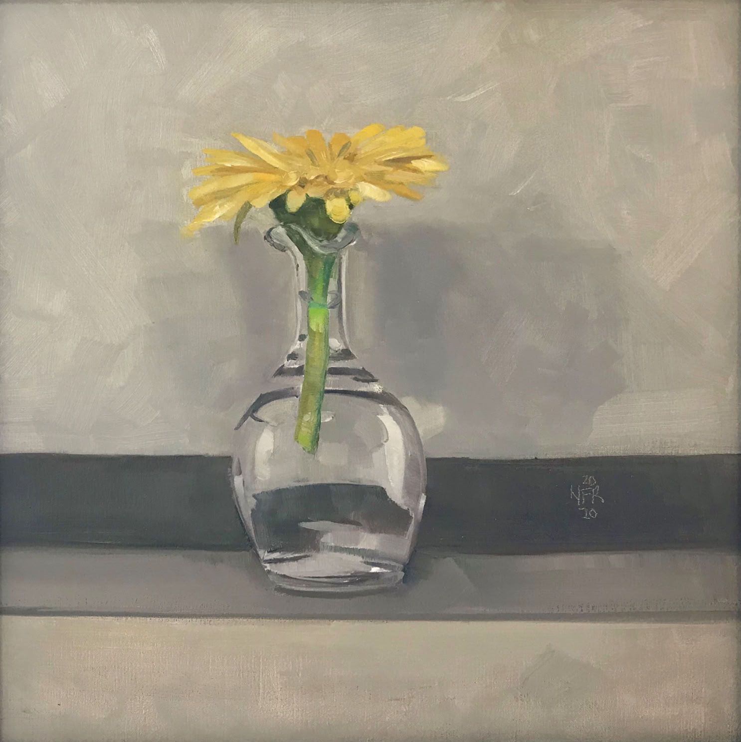 Nancy Fitz-Rapalje Gerbera Daisy in Grey