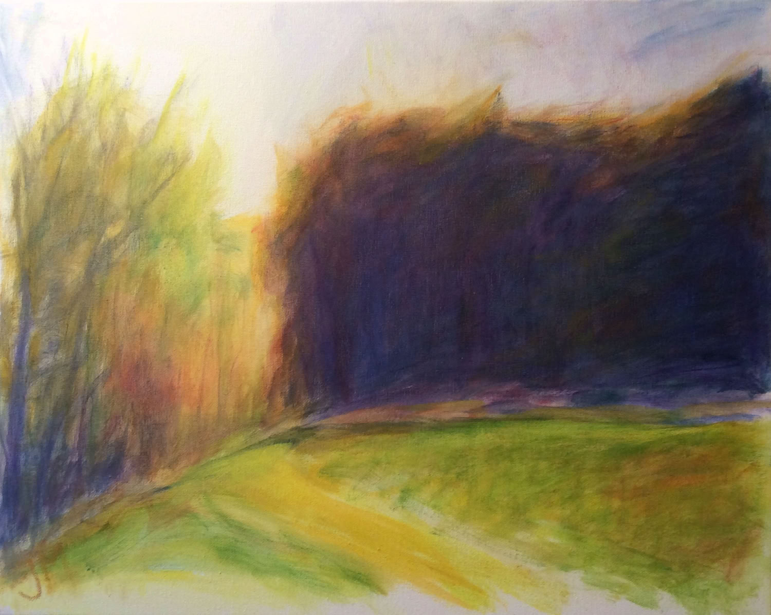 Jeanne McMahan Sun Breaking Over Spring Trees 2019