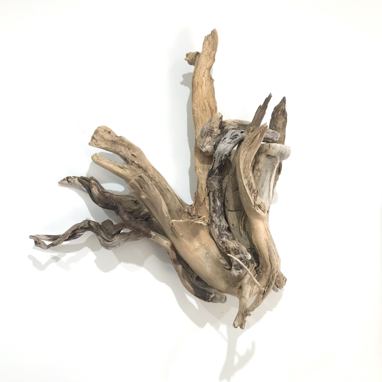 phyllis-rosser-summer-s-end