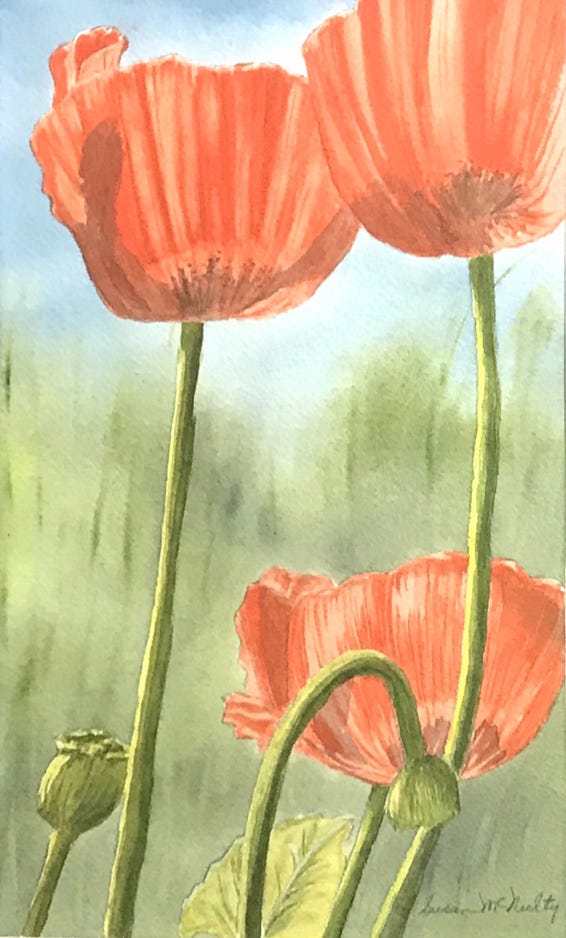 susan-mcnulty_chinese-poppies-in-spring_2020