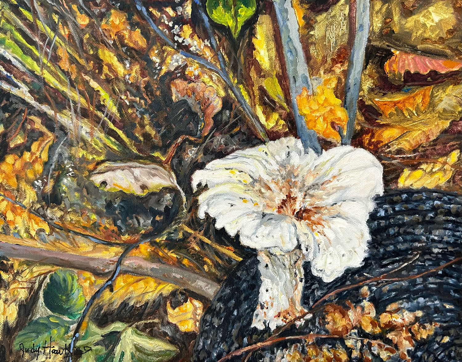 Judy Hawkins Intertwined