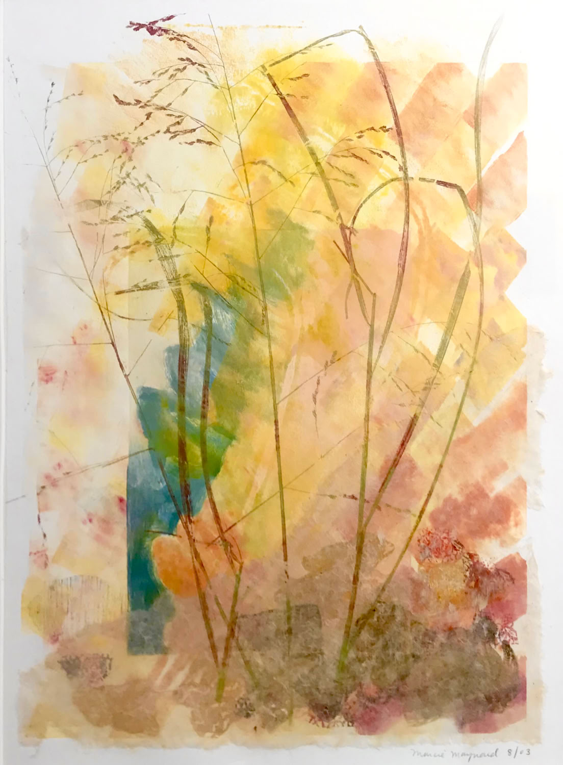 Marcie Maynard Summer 2017