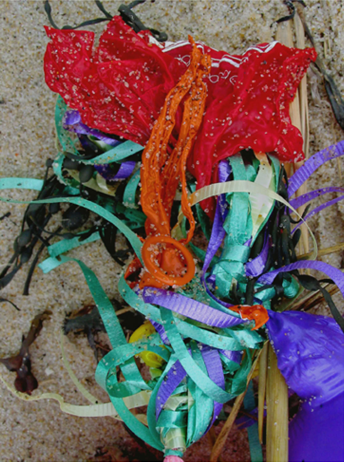 mixed-bouquet-on-dibond