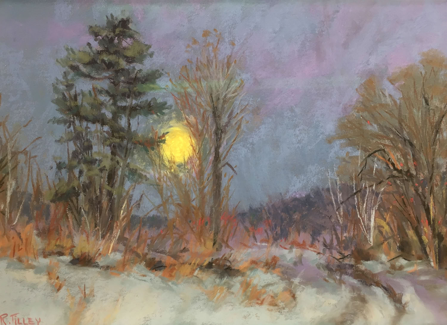 Rodrica Tilley Dark Falls Early 2011 Soft pastel on sanded pastel paper