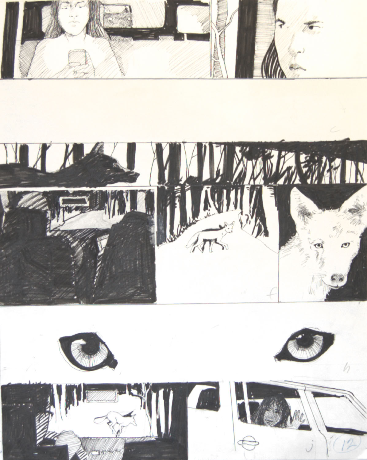 Charles Norris-Brown Thunder Basin, page 12 graphics 