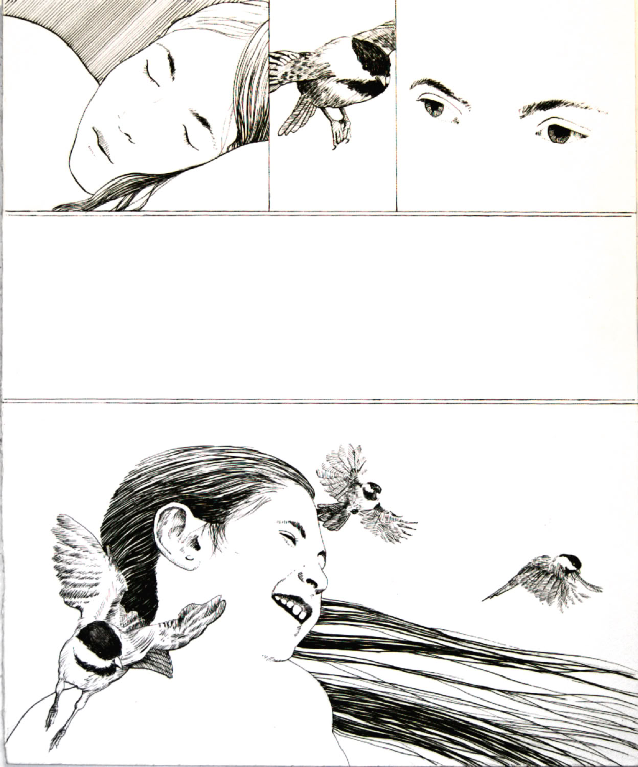 Charles Norris-Brown Thunder Basin, page 38 graphics