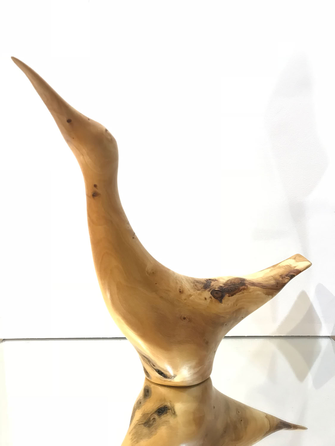 Deborah Bump Colorado Cottonwood