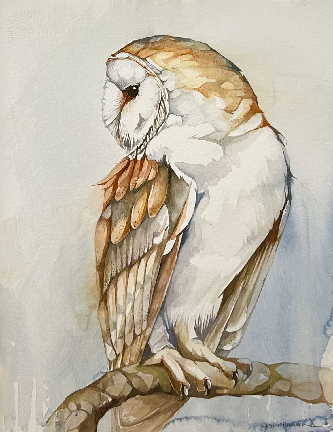 Jennifer L.Anderson A Wonderful Peace (Barn Owl)  