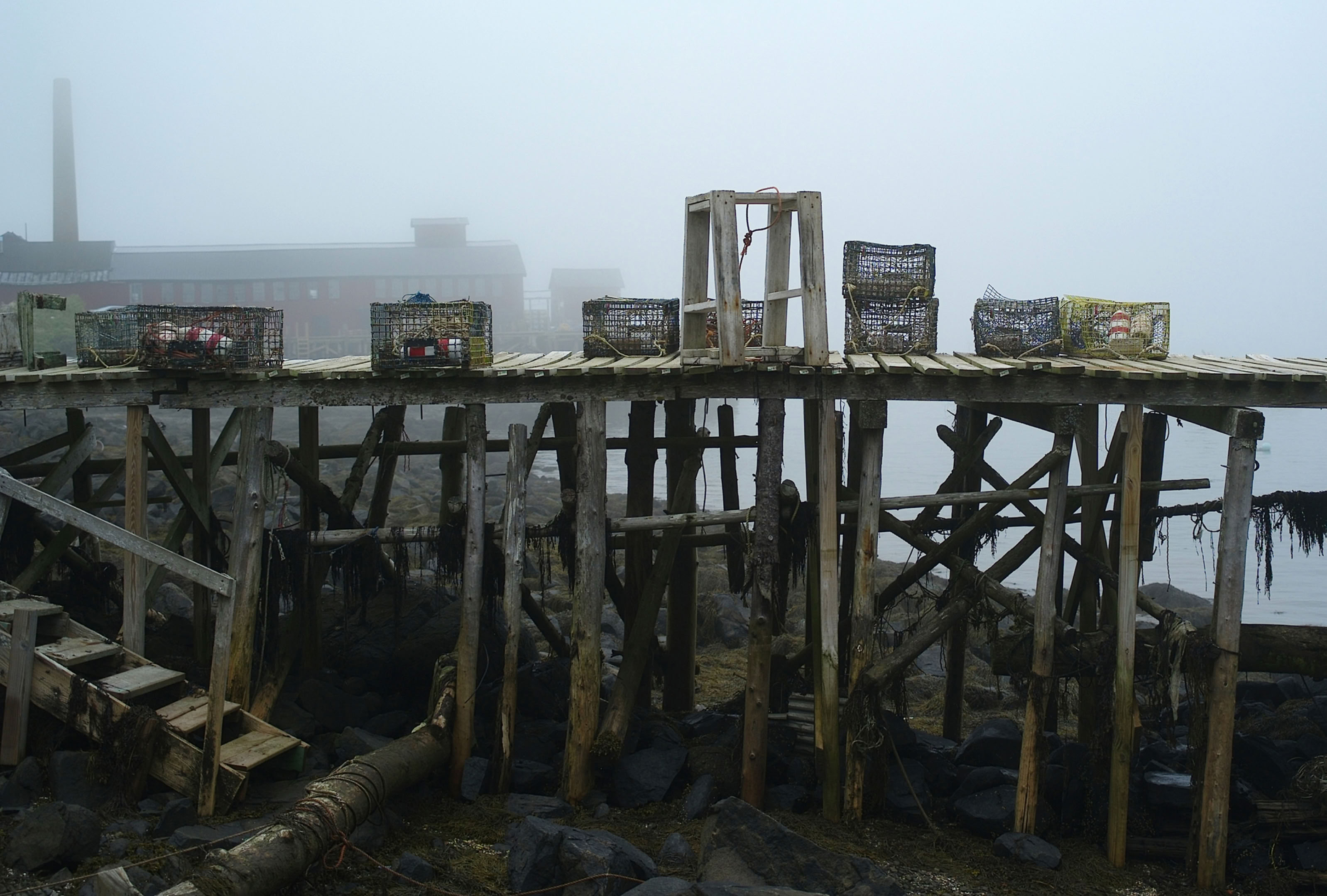 Len Emery Low Tide (from the book Downeast Journal) 2023