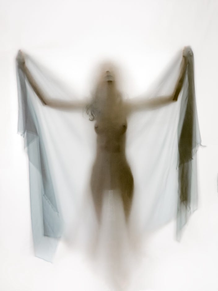 Yevette Hendler The White Moth 2019
